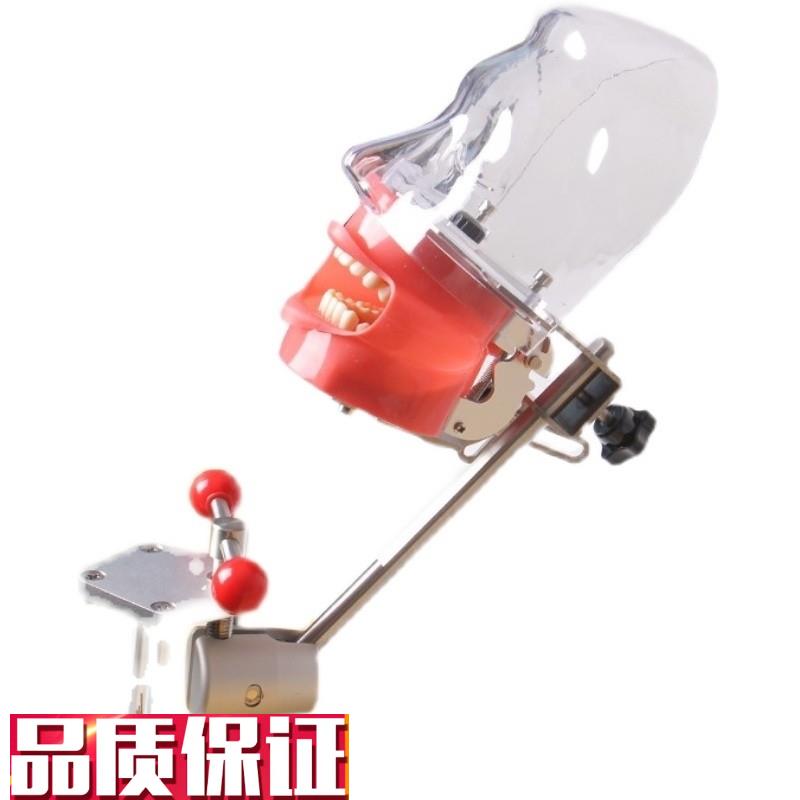 牙科口腔备牙模型器械工s具离体牙备牙种植树脂牙简易仿真头模包