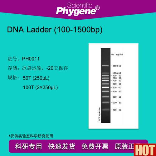 NA Ladder (100-1500bIp) DNA Marker 100T PH0011 PHYGENE