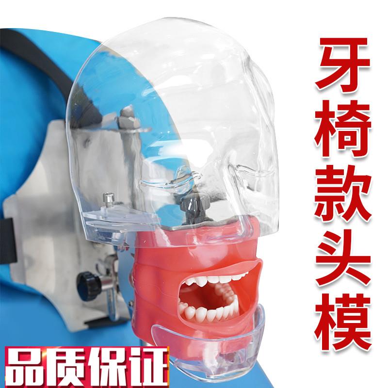口腔头模仿真头颅牙科材料备牙模型简易练习牙P模离体牙根管树脂
