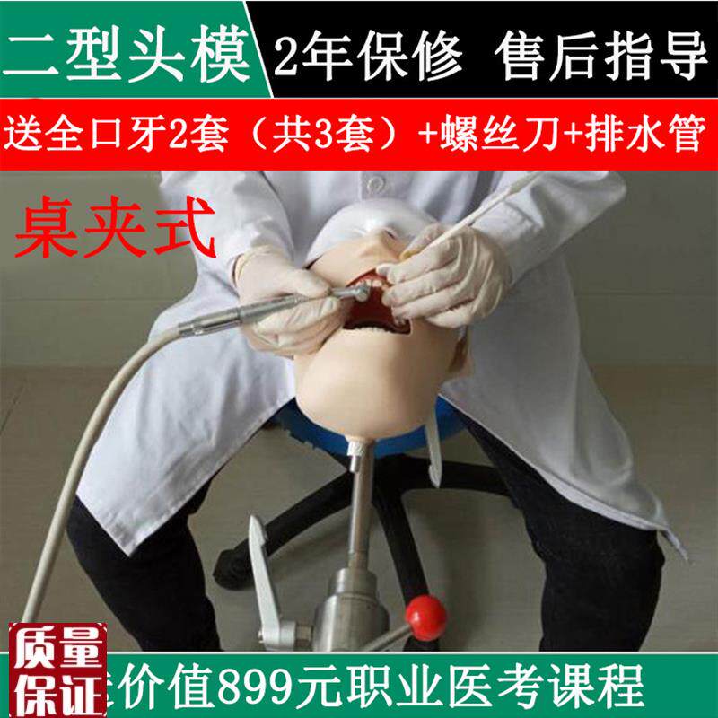 牙科材料口腔器械工具软牙龈备牙根管种植练习模型X离体牙二型头