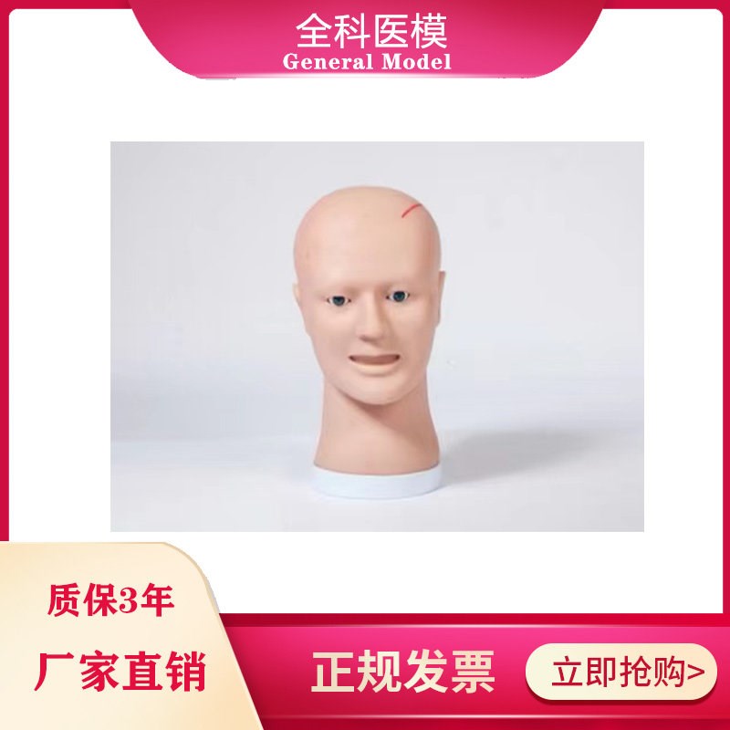 清创缝合训j练头部模型LV18