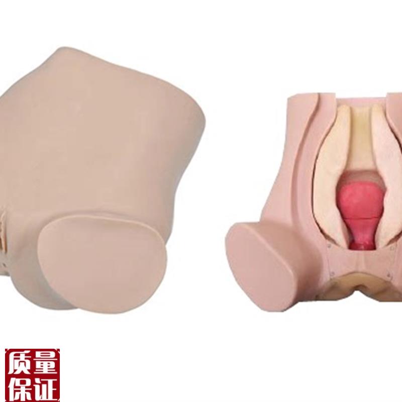 诊断性刮宫监测考核指导模型C诊断性刮宫妇科检查仿真模