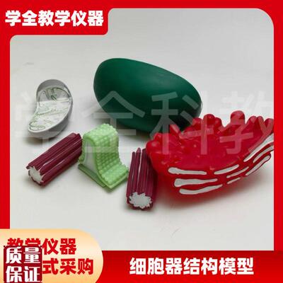 细胞器结构模型生物教学仪B器线粒体叶绿体高尔基体中心
