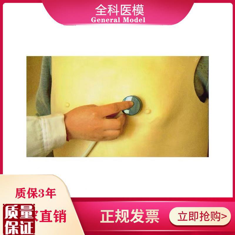 心肺听诊训练模型背心式临床病理性心音K肺音体格检查练习模具假