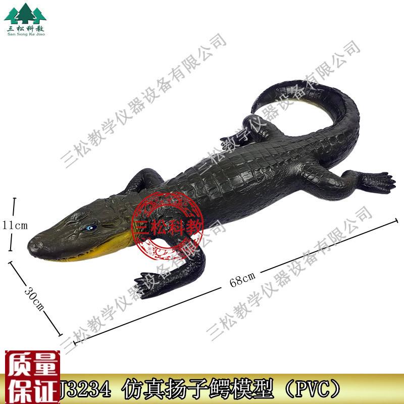3234仿真扬k子鳄模型珍稀动物模型生物标本科普教学仪