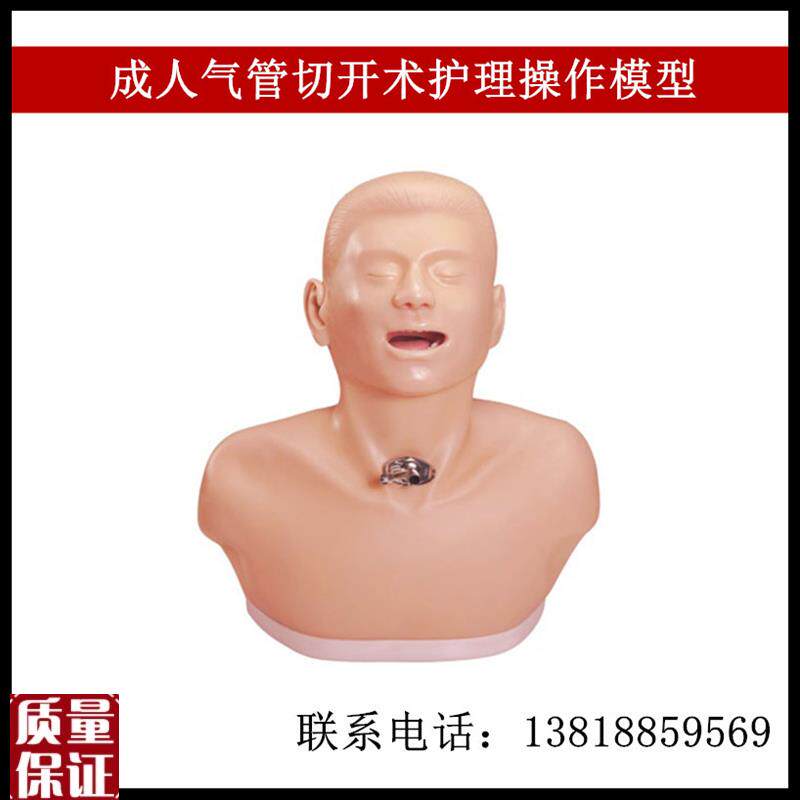 高级成人b气管切开护理模型气管切开插管模型医用教学模