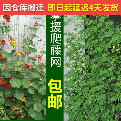 园艺植物爬藤网种植网黄瓜丝瓜蔬菜攀爬网牵牛花葫芦铁线莲攀藤网|ruв категории доставка цветов/цветок моделирования/растения садоводства, садовых принадлежностей, других садовых принадлежностей - от Buy2taobao.com для оказания профессиональной услуги покупки агента Taobao
