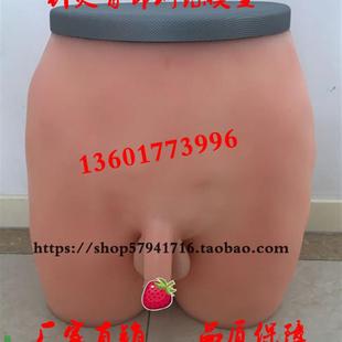 针灸臀部训练模型臀部u针灸模型成人臀部针刺训练模具