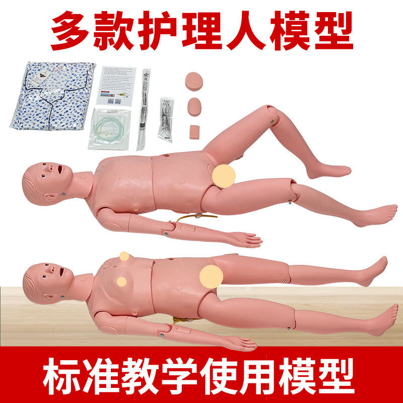 多功能护理模拟人模型男女性医院学E校用人体教学模特输液打针导