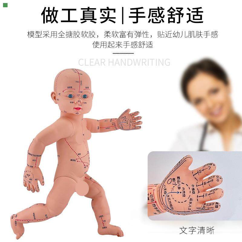婴儿穴位娃娃 推拿按摩婴儿中医通用小儿针灸穴位宝宝仿真模型