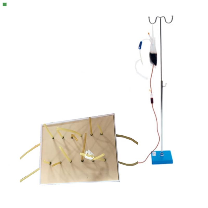 表面出血点止血训练模型止血考核模块表面血管结扎止血操作模型