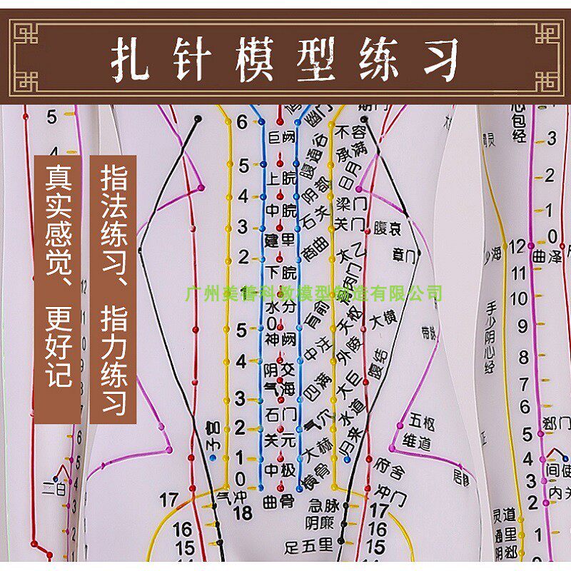 50CM 彩色针灸穴位人体模型 全身r经络图人模硅胶推拿小皮人扎针