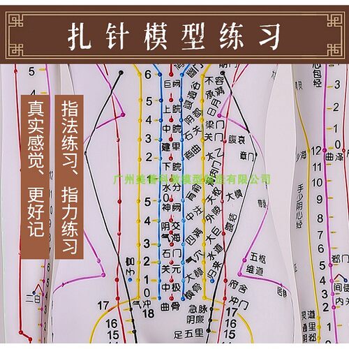 50CM 彩色针灸穴位人体模型 全身r经络图人模硅胶推拿小皮人扎针