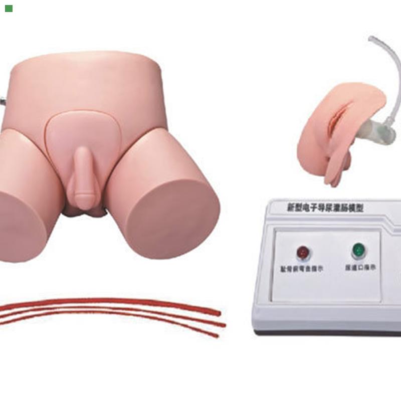 电子导尿灌肠教学实习模型 导尿训练模型 灌肠训练模型