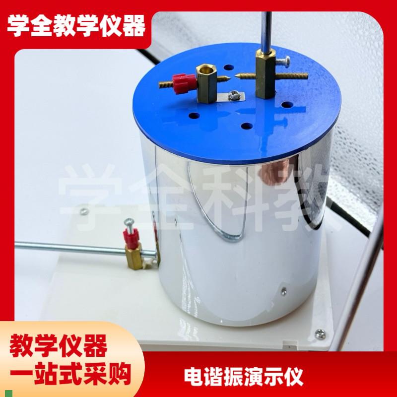 24059电谐振演示仪电感电容可调物J理电学实验器材教学仪器