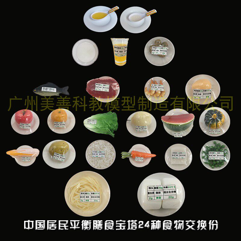 新版中国居民膳食宝塔食品营养食物交换I份模型 正常人群饮食指导