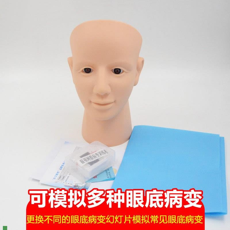 眼视网膜病变检查模p型眼底检查病变诊断技巧教具视网膜模型
