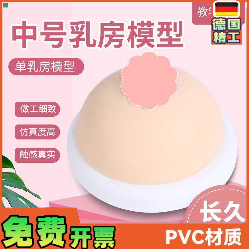 家政月嫂人体仿真女性乳房催乳师培训道具哺乳硅胶乳房教具模型