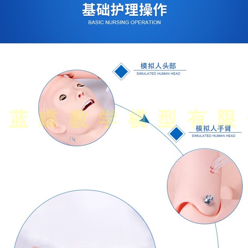 多功能护理训练医学用人体t模型模特复苏操作教学模拟橡皮假人男
