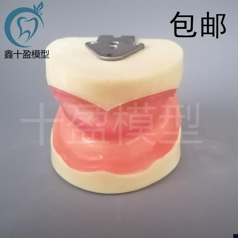 牙科牙齿b种植模型 全口种植练习模型 软牙龈口腔操作种植练习包