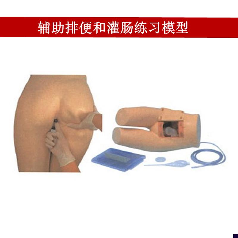 辅助排便和灌肠练习模型医院培训 护士训练模型V 肛门检查模型