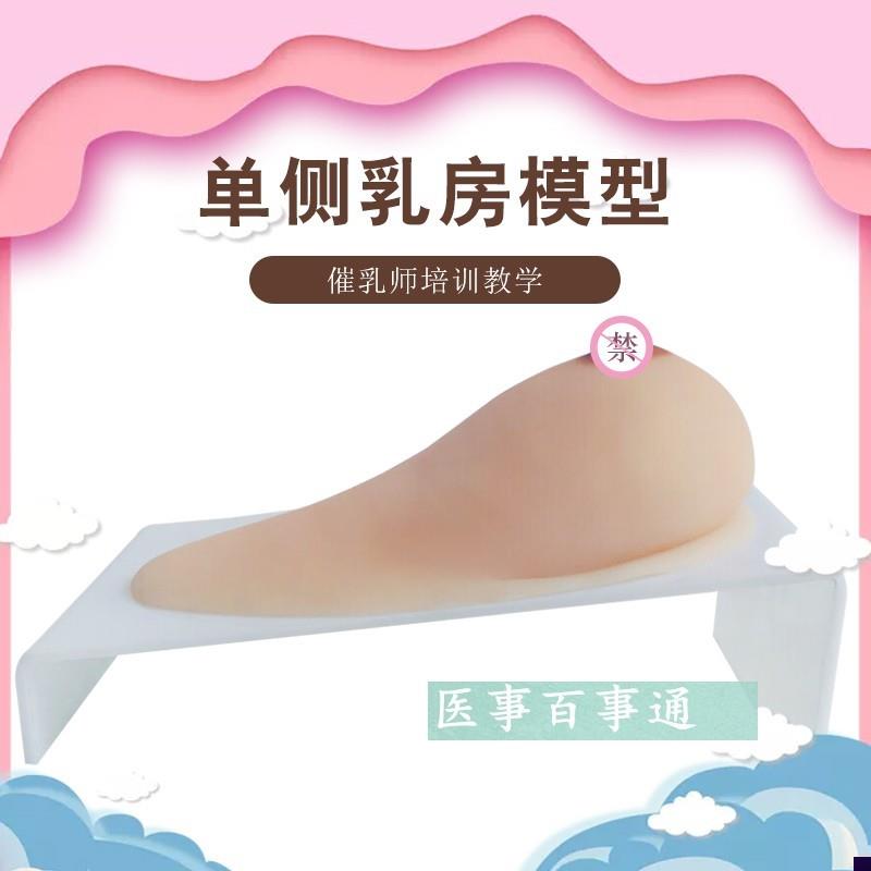 乳房女性乳房枪模义乳假乳催乳师培训玩具枪M哺乳教学模型(纯硅胶