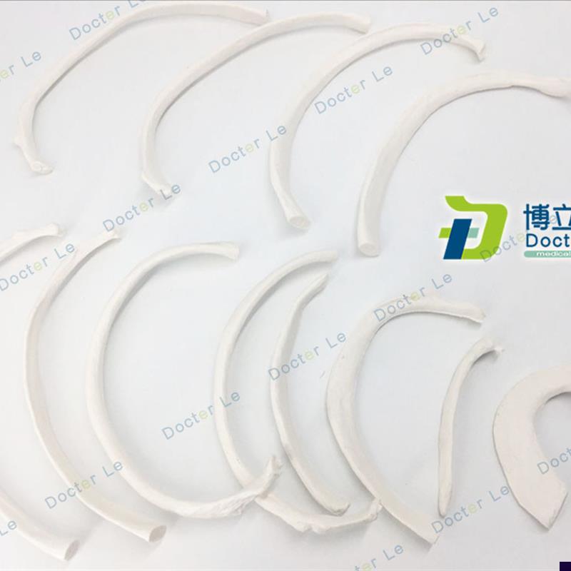 人体骨骼散骨模型骨架标本模型美术医学艺O用疼痛骨科胸肋骨模型