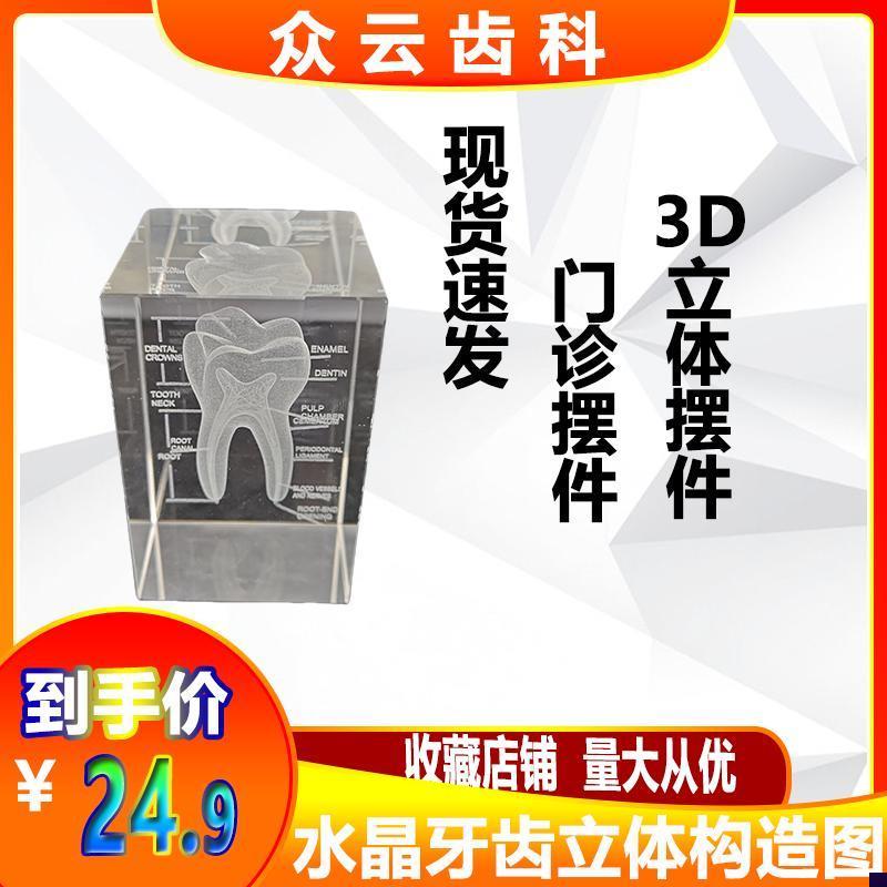 水晶牙齿模型h内雕口腔牙科医学院送医生礼物牙医教学纪念礼品摆
