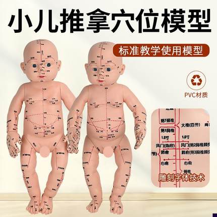 小儿推拿模型培训娃娃带穴位仿真按摩婴儿K针灸中医人体经络教学