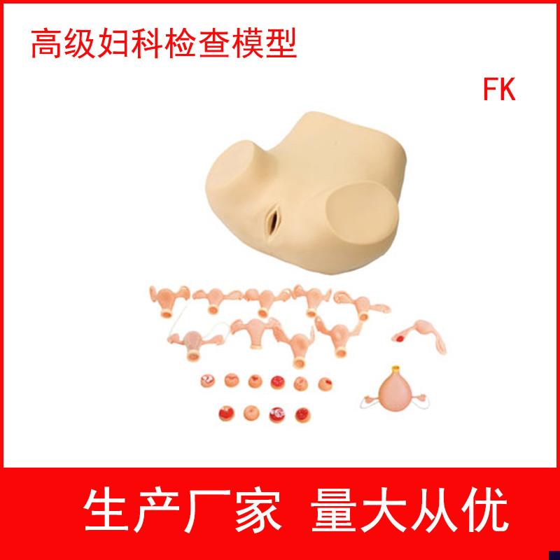 妇科训练模型,妇科检查模型,x妇婴训练模型 护理模型妇产科培训用