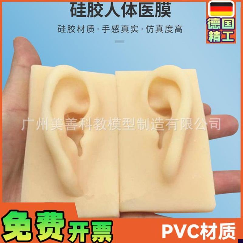 硅胶耳朵模型 软TPR耳朵模型 仿真人体J耳模 助听展示道具(左耳)
