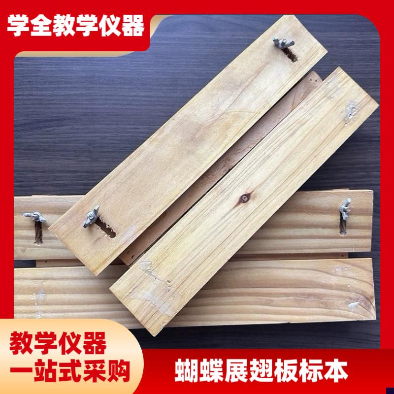 蝴蝶展翅板标本插针板昆虫展w足蜻蜓整姿板木制可调整间距V面平面