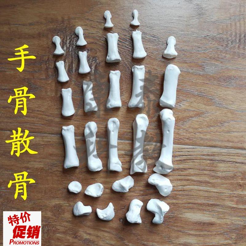 手骨模型拆卸散的游离仿真骨头腕骨手G指骨脚骨跟骨距骨脚趾踝关