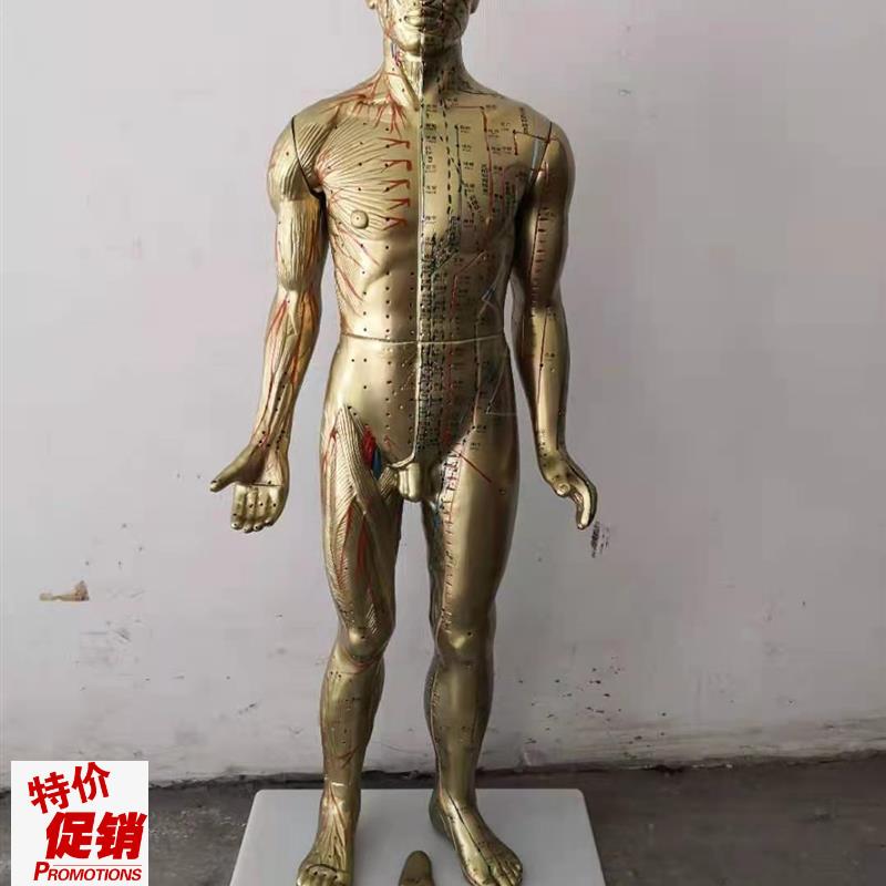 85CM人体针灸模型K中医经络穴位模