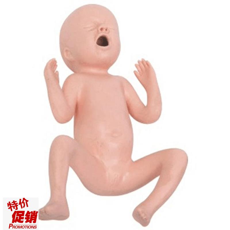 高级24周早产儿模型高级30周早产儿模型T早产儿护理模型