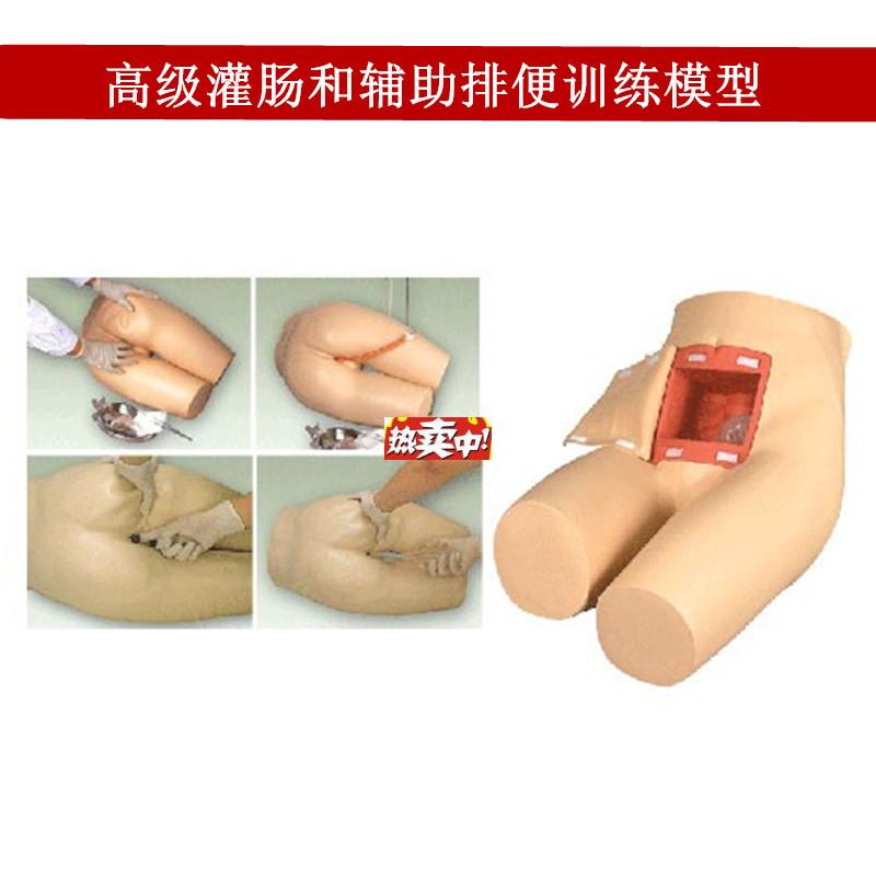 热销灌肠模型Q辅助排便和灌肠训练习模型医学用灌肠排便教学模型