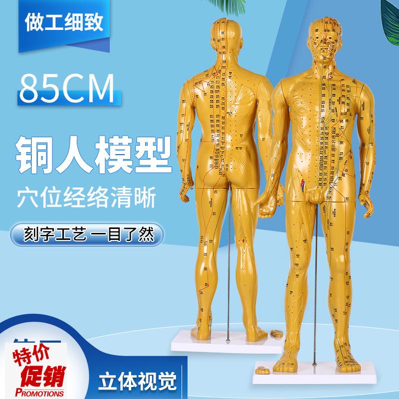 80CM铜色人体针灸模型经络穴B位中医全身十二铜人模特练习教具