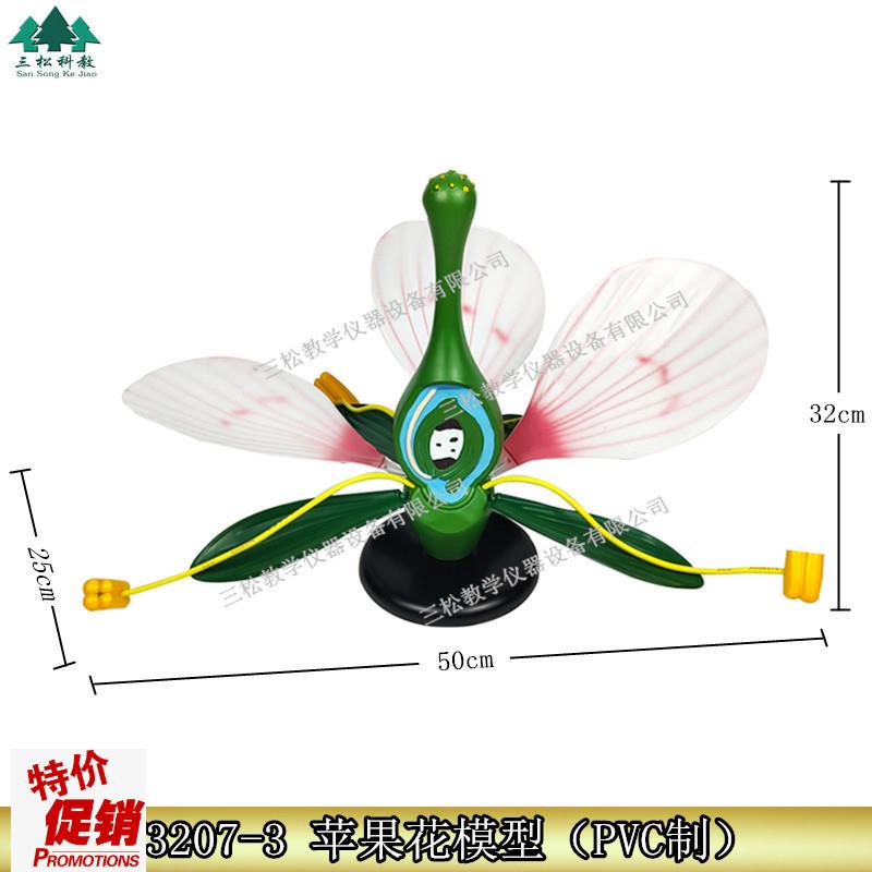 桃花典型双子叶花k构造绿色植物花蕊生物展示医学教学苹果花模型