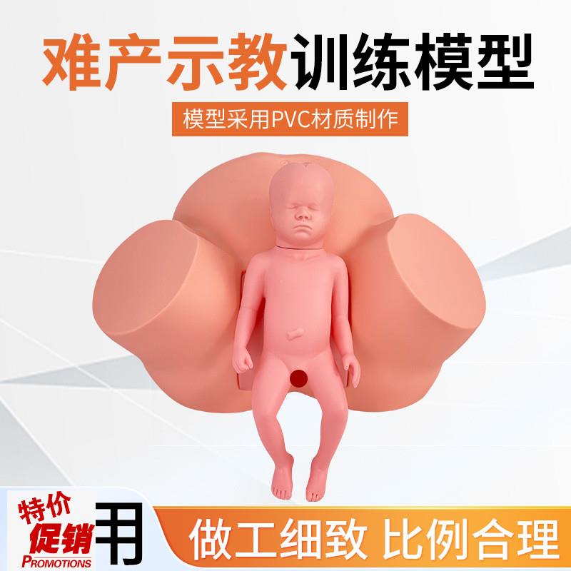 高级助产示e教模型分娩演示妇科检查模型生产分娩演示肩产难产