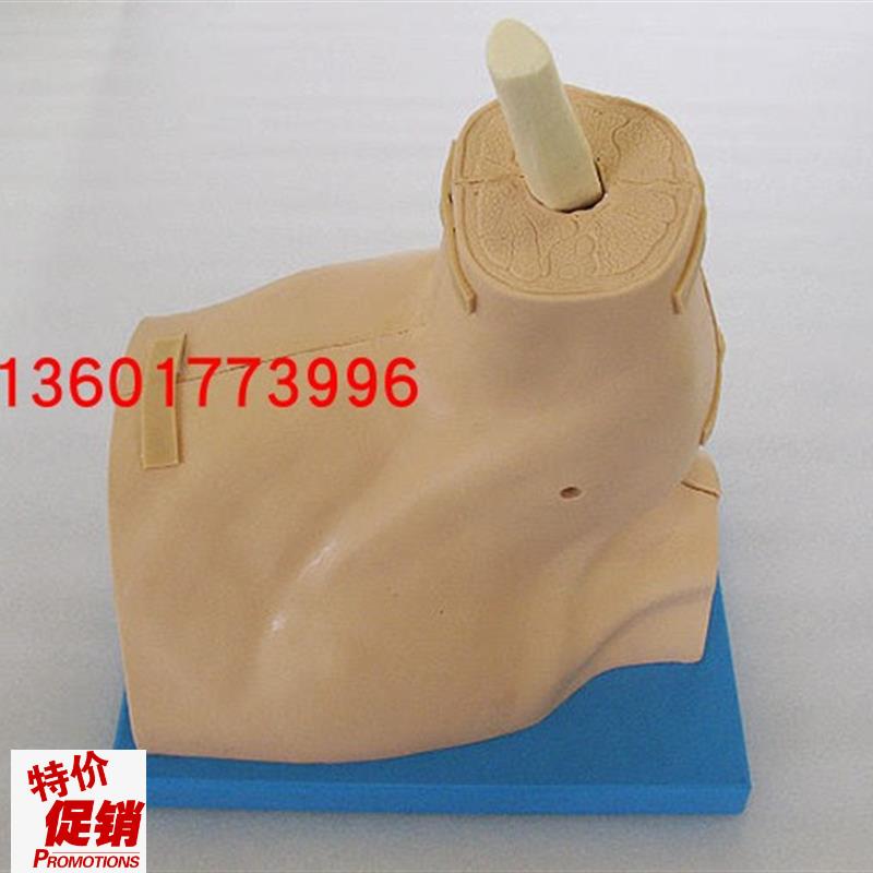 肩关节镜检查模型肩q关节镜练习模型肩关节模型医教教学模型