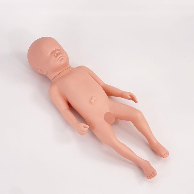 高级足月a胎儿模型新生婴儿护理模型人初生婴儿模型塑胶娃娃