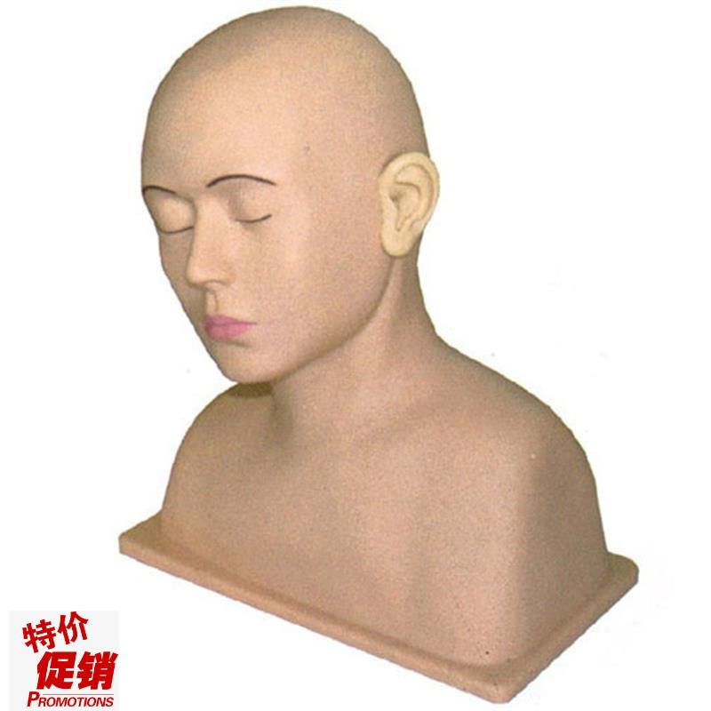 高级耳部冲洗模型