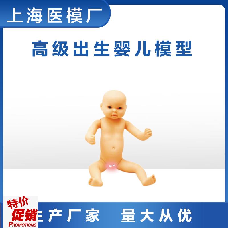 家政培训教学模型全身出生婴儿模型(男婴/女婴任T选柔软型)FT3