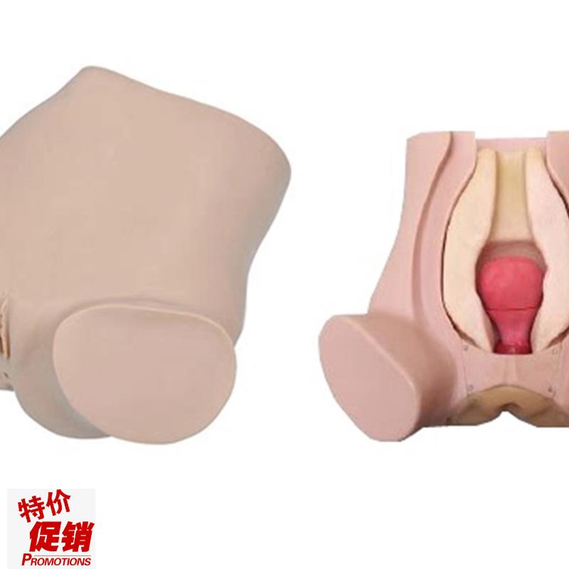 诊断性刮宫监测考核指导模型A诊断性刮宫仿真模型妇科检查