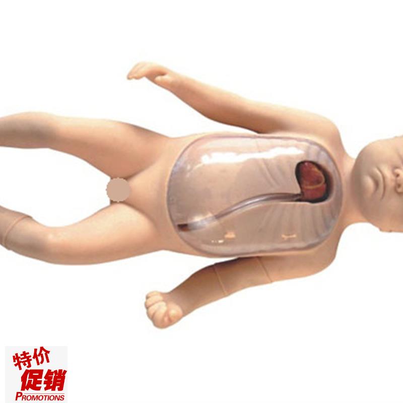 新生儿外周中心静脉插管模型医学B教学模型外周中心静脉插管模型