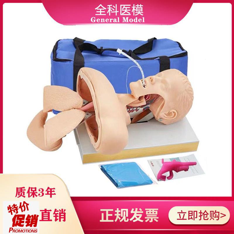 GM/J50高级人体气管插管y训练模型成人口鼻气道管理急救模具