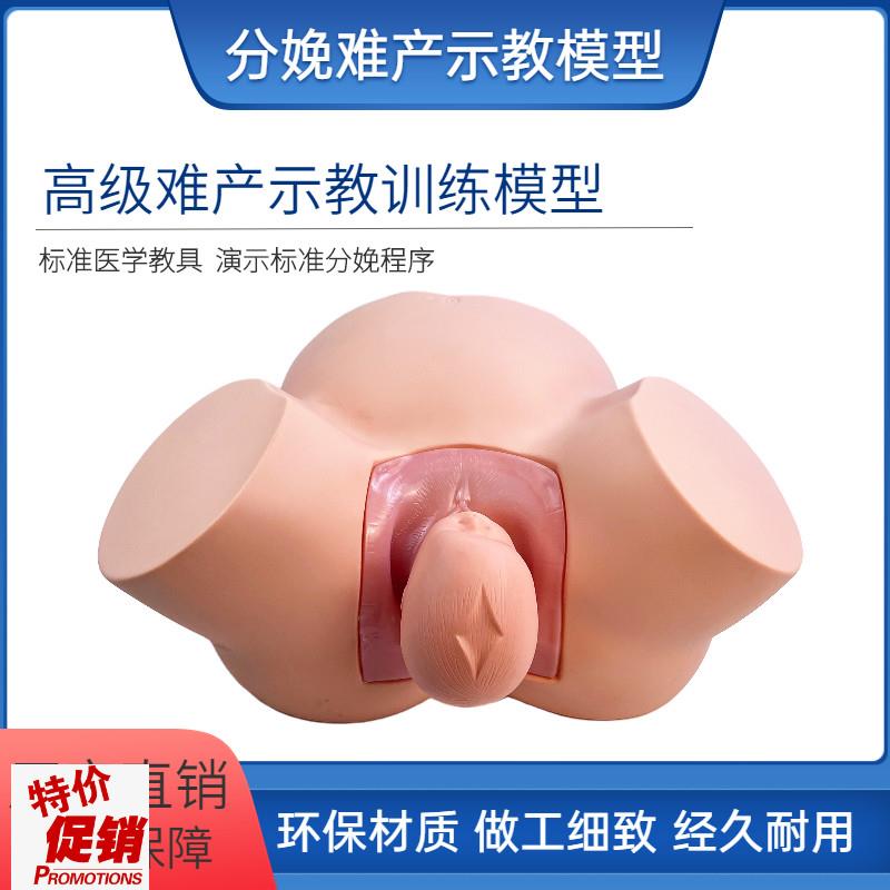 高级难产示教训练模型分娩示教模型妇产L科难产助产分娩教学模型