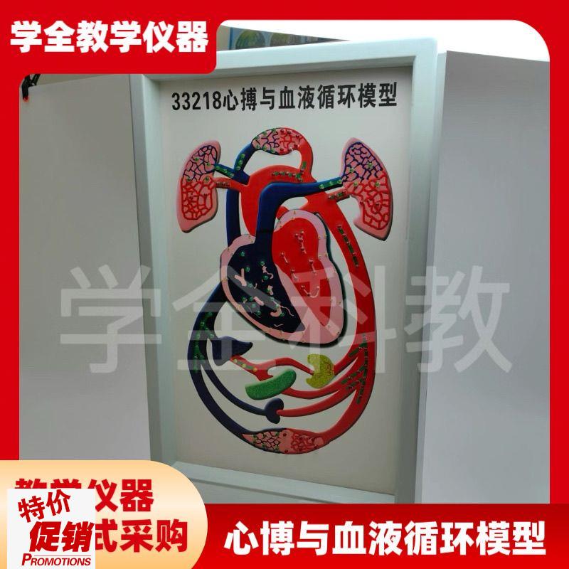 心博与血液循环模型初高中生物C实验室心脏工作装置电动式心博