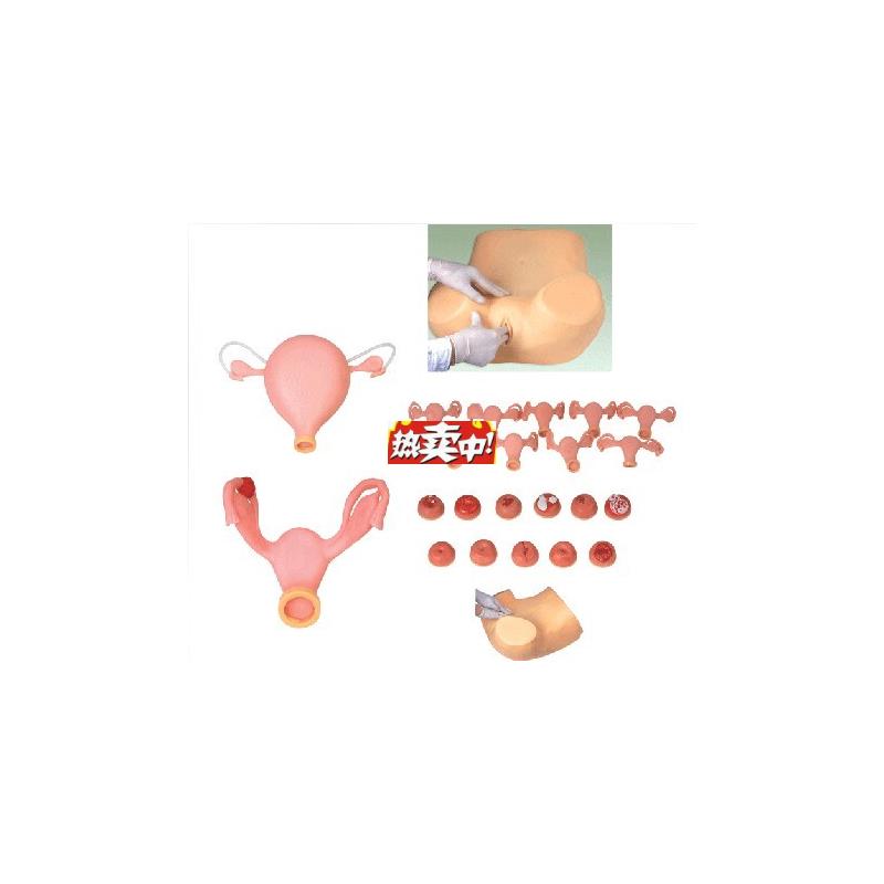 热销高级妇科综合检查训练模型宫腔d结构镜检查宫颈特