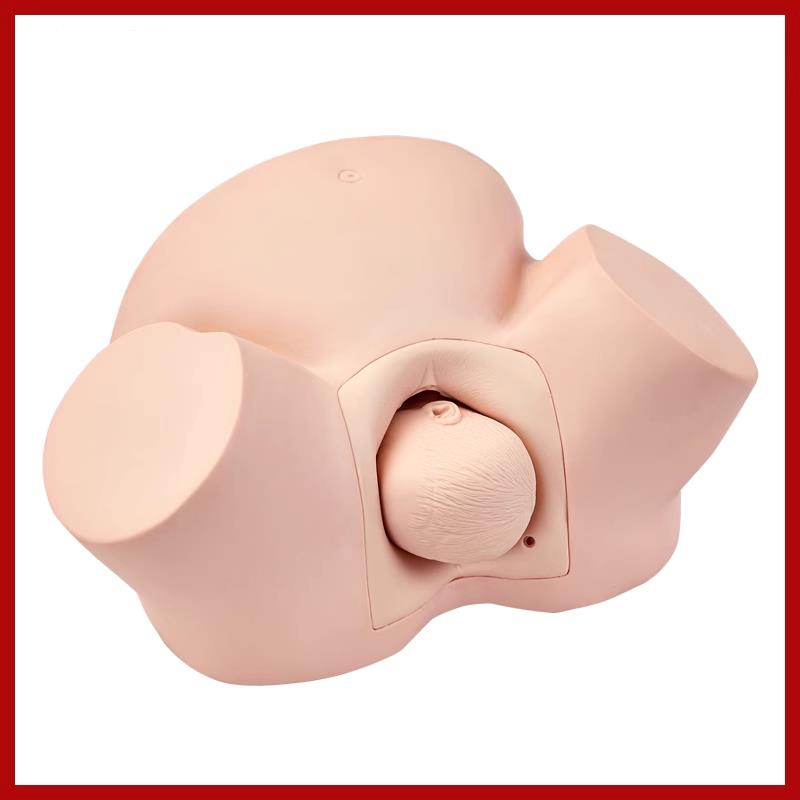 高级助产训练模型分娩示教模型妇产科难产助产分Y娩教学模具